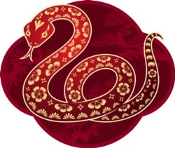 Year of the snake